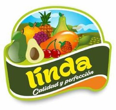LINDA CALIDAD Y PERFECCION