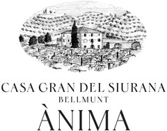 CASA GRAN DEL SIURANA BELLMUNT ANIMA