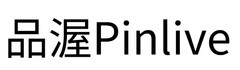 Pinlive