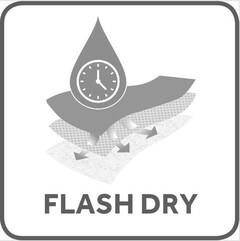 FLASH DRY