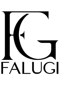 FG FALUGI