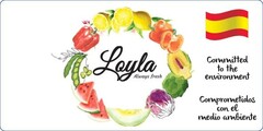 Loyla Always fresh Committed to the environment Comprometidos con el medio ambiente