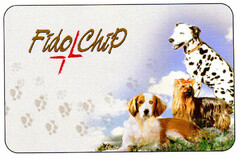 Fido Chip