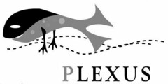 PLEXUS