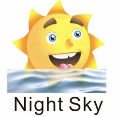 Night Sky