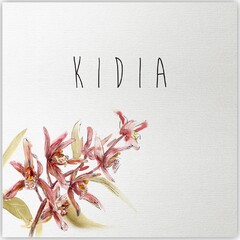 KIDIA