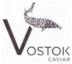 VOSTOK CAVIAR