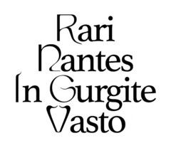 Rari Nantes In Gurgite Vasto