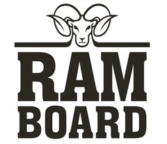 RAM BOARD