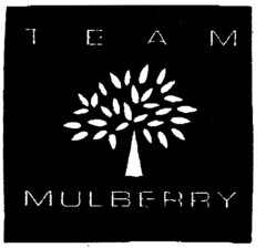 TEAM MULBERRY