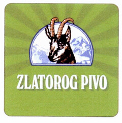 ZLATOROG PIVO