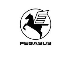 PEGASUS