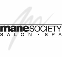 maneSOCIETY SALON·SPA