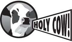 Holy Cow!