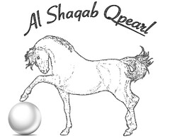 Al Shaqab Qpearl