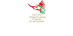 SÓLYOM™ 
   Hungarian Airways
       "We just fly."
    "Mi csak repülünk."