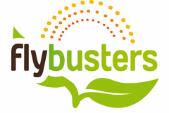 FLYBUSTERS