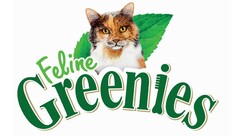 Feline Greenies