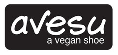 avesu a vegan shoe