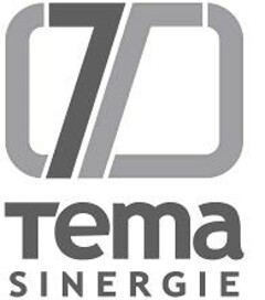 TEMA SINERGIE