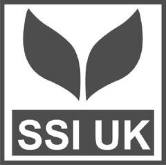 SSI UK