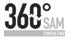 360° SAM CONSULTING