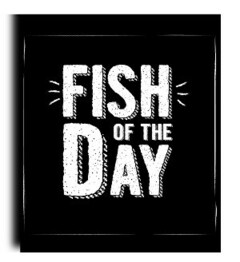 FISH OF THE DAY