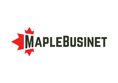 MAPLEBUSINET