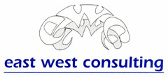 ewc east west consulting