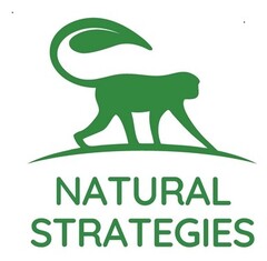 NATURAL STRATEGIES