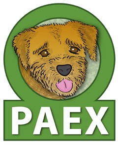 PAEX