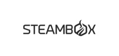 STEAMBOX