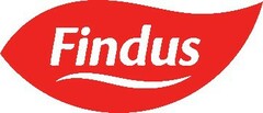 FINDUS