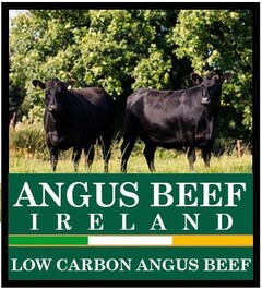 ANGUS BEEF IRELAND LOW CARBON ANGUS BEEF