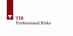 T TIB Professional Risks