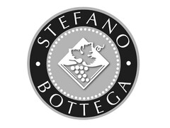 STEFANO BOTTEGA
