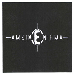 AMGINENIGMA