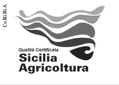 Qualità Certificata Sicilia Agricoltura