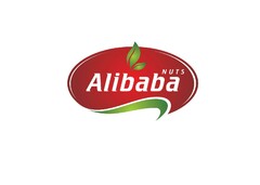 Alibaba NUTS