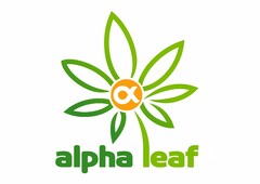 alpha leaf