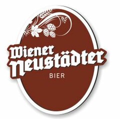 Wiener Neustädter Bier