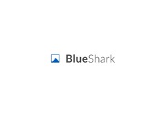 Blue Shark