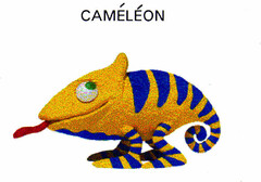 CAMÉLÉON