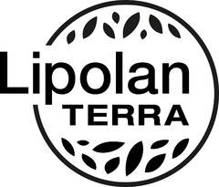 Lipolan TERRA