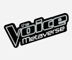 the Voice Metaverse