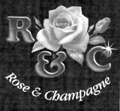 R & C Rose & Champagne