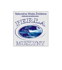 PERŁA MUSZYNY, NATURALNA WODA ŹRÓDLANA NISKOZMINERALIZOWANA, MUSZYNA II