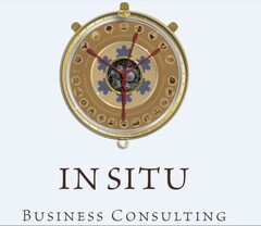 IN SITU Business Consulting