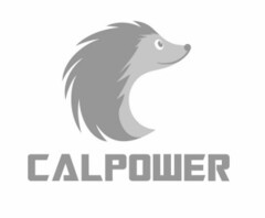 CALPOWER