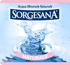 SORGESANA ACQUA MINERALE NATURALE OLIGOMINERALE